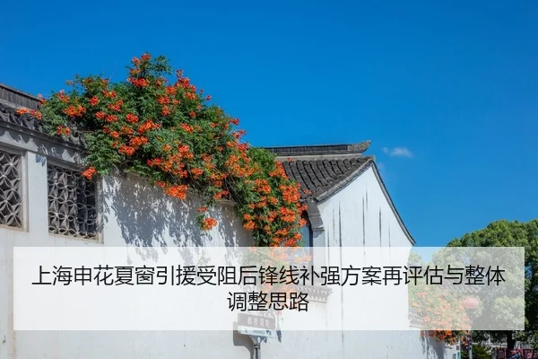 上海申花夏窗引援受阻后锋线补强方案再评估与整体调整思路